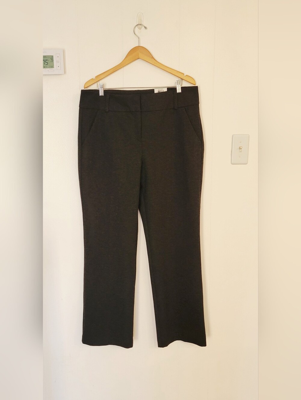 Alfani Tummy Contral Truosers